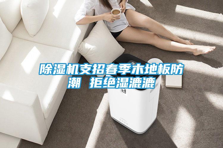 除湿机支招春季木地板防潮 拒绝湿漉漉