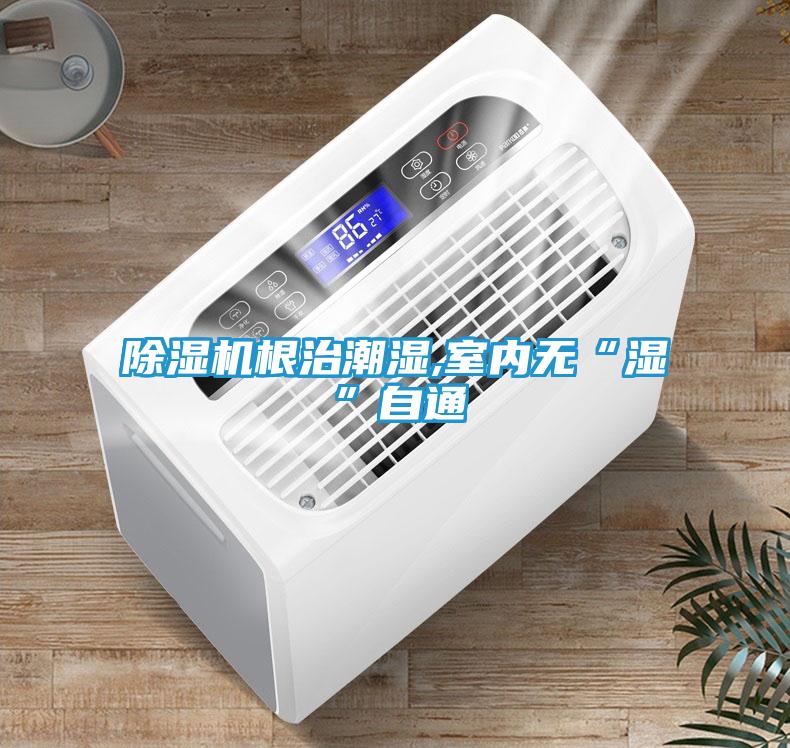 除湿机根治潮湿,室内无“湿”自通