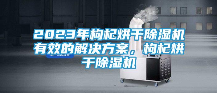 2023年枸杞烘干除湿机有效的解决方案,枸杞烘干除湿机