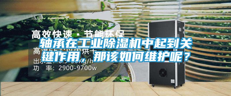轴承在工业除湿机中起到关键作用，那该如何维护呢？