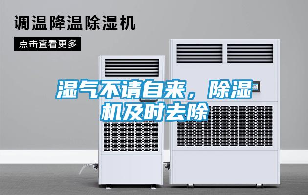 湿气不请自来，除湿机及时去除