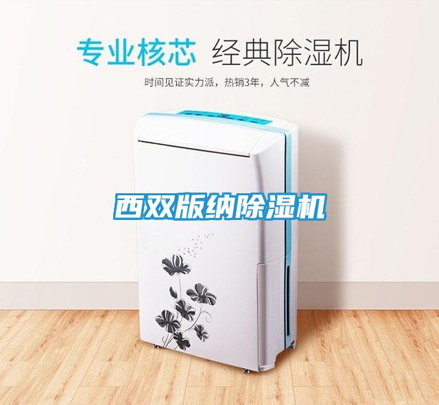 西双版纳除湿机
