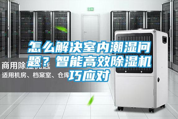怎么解决室内潮湿问题？智能高效除湿机巧应对