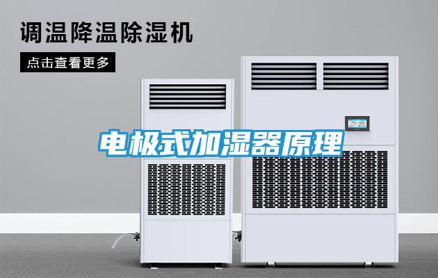电极式加湿器原理