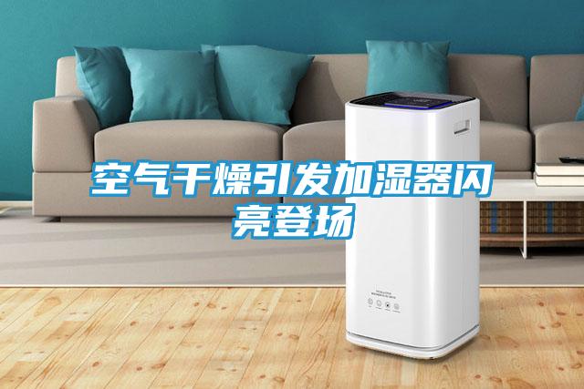空气干燥引发加湿器闪亮登场