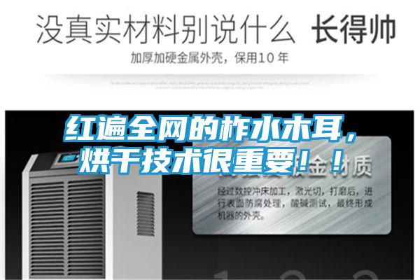 红遍全网的柞水木耳，烘干技术很重要！！