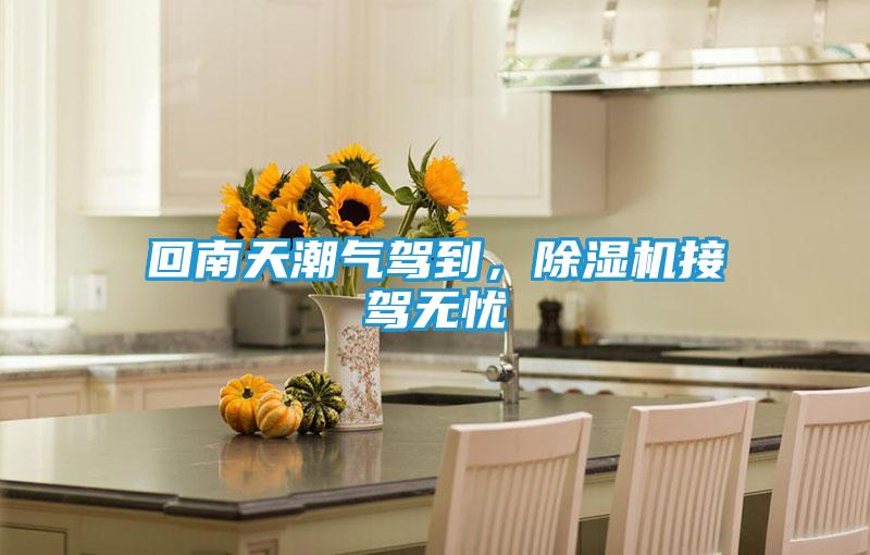 回南天潮气驾到，除湿机接驾无忧