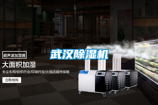 武汉除湿机
