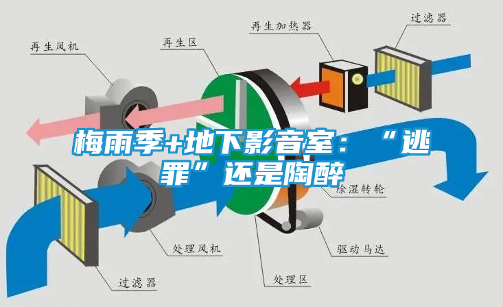 梅雨季+地下影音室：“逃罪”还是陶醉