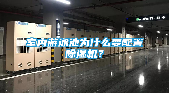 室内游泳池为什么要配置除湿机？