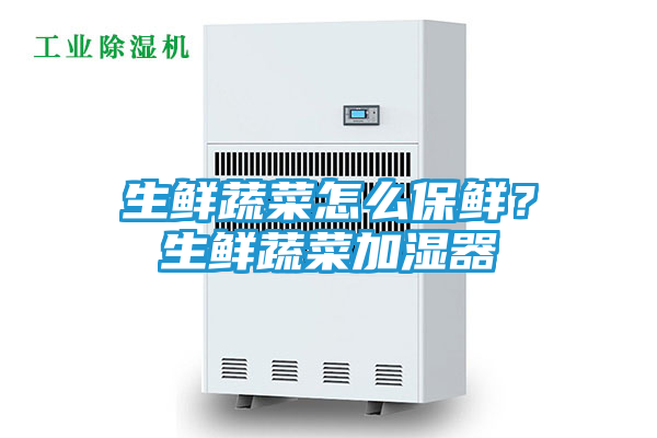 生鲜蔬菜怎么保鲜？生鲜蔬菜加湿器