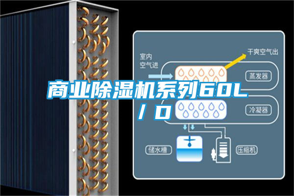 商业除湿机系列60L／D