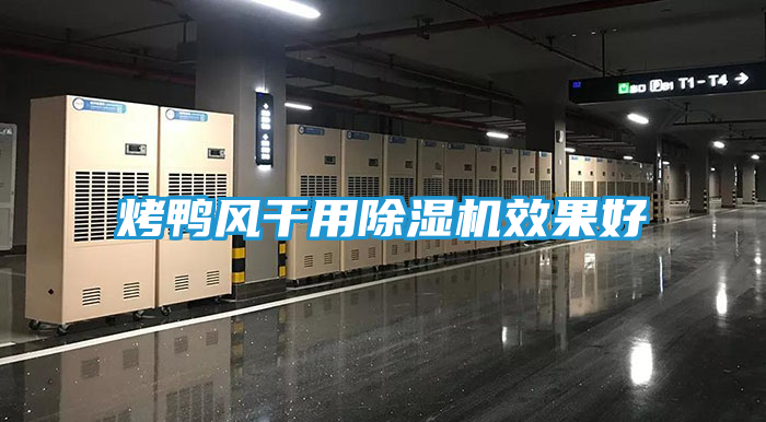 烤鸭风干用除湿机效果好