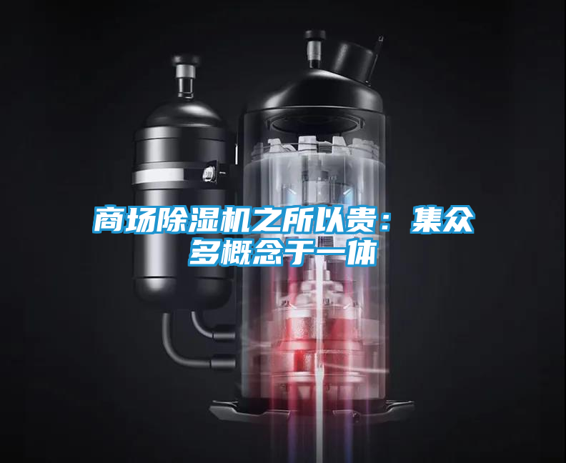 商场除湿机之所以贵：集众多概念于一体