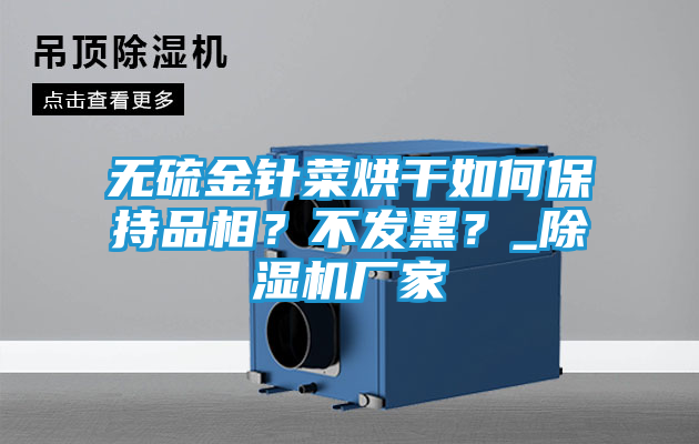 无硫金针菜烘干如何保持品相？不发黑？_除湿机厂家