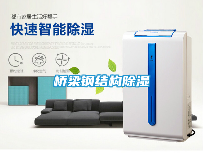 桥梁钢结构除湿