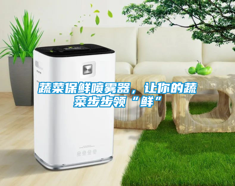 蔬菜保鲜喷雾器，让你的蔬菜步步领“鲜”