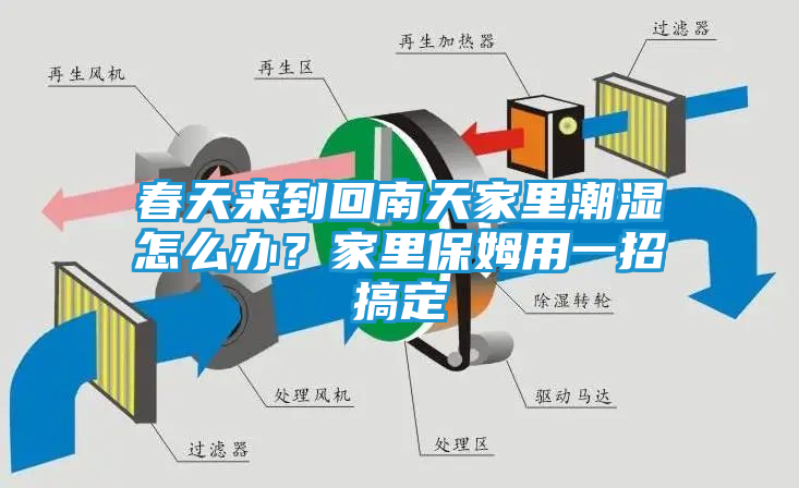 春天来到回南天家里潮湿怎么办？家里保姆用一招搞定