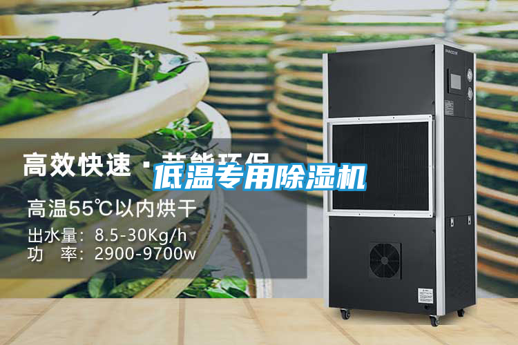 低温专用除湿机