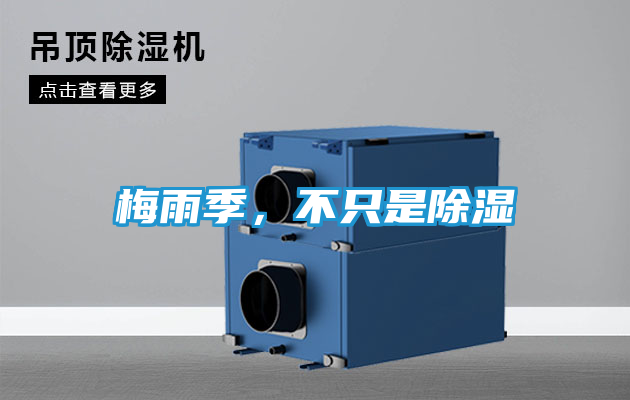 梅雨季，不只是除湿