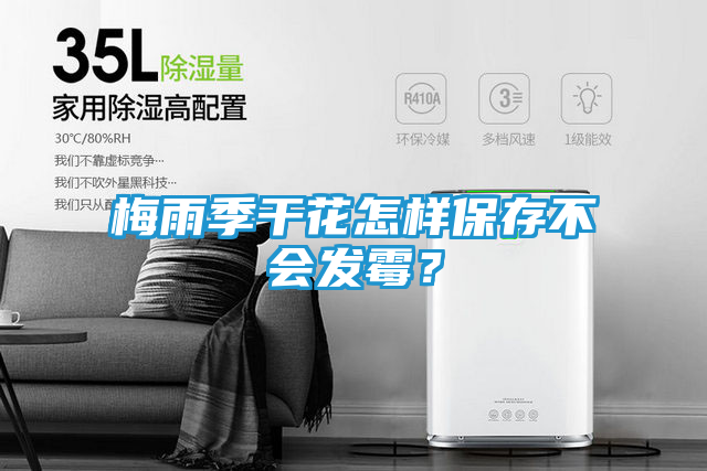 梅雨季干花怎样保存不会发霉？