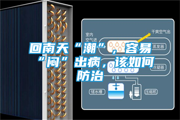 回南天“潮”，容易“闷”出病，该如何防治