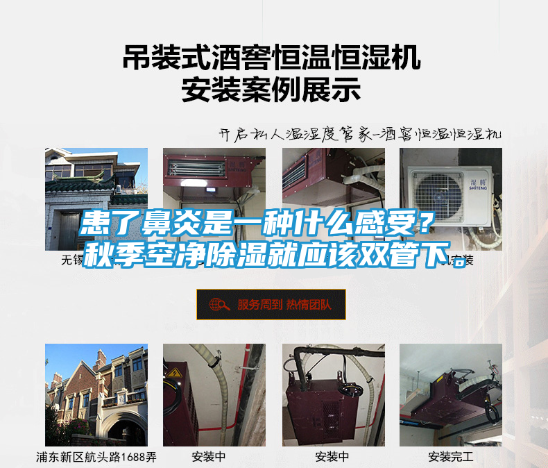 患了鼻炎是一种什么感受？ 秋季空净除湿就应该双管下。