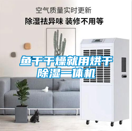 鱼干干燥就用烘干除湿一体机