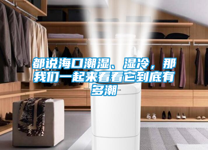 都说海口潮湿、湿冷，那我们一起来看看它到底有多潮