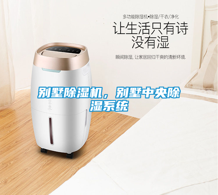 别墅除湿机，别墅中央除湿系统