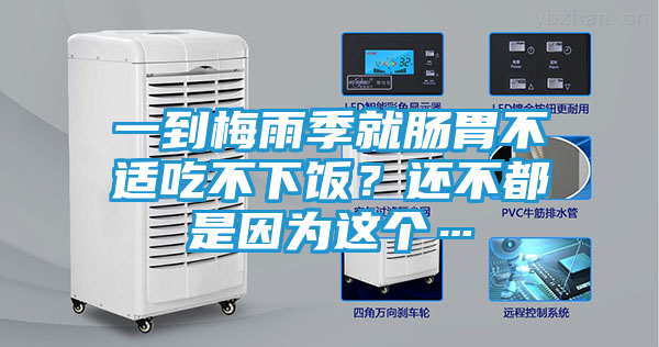 一到梅雨季就肠胃不适吃不下饭？还不都是因为这个…