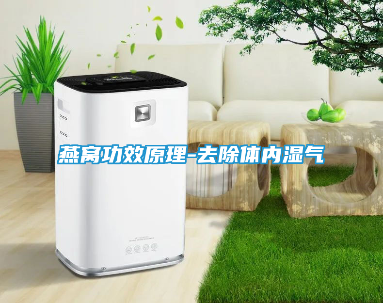 燕窝功效原理-去除体内湿气