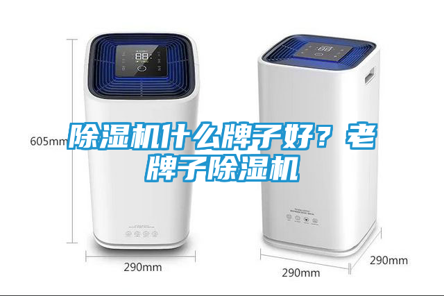除湿机什么牌子好？老牌子除湿机