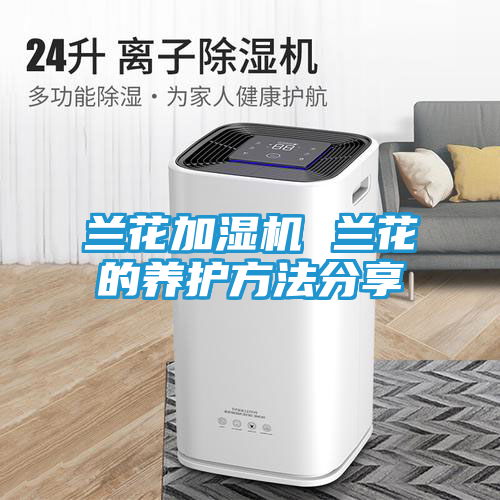 兰花加湿机 兰花的养护方法分享