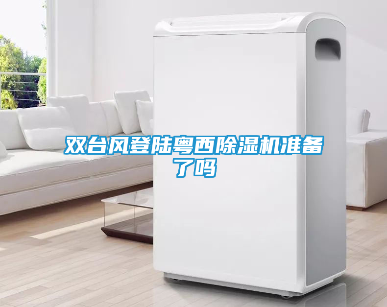 双台风登陆粤西除湿机准备了吗