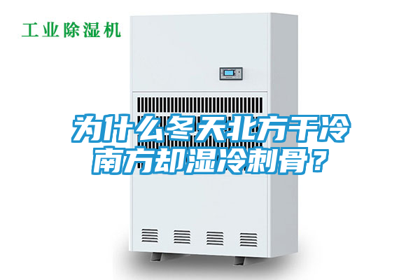 为什么冬天北方干冷南方却湿冷刺骨？