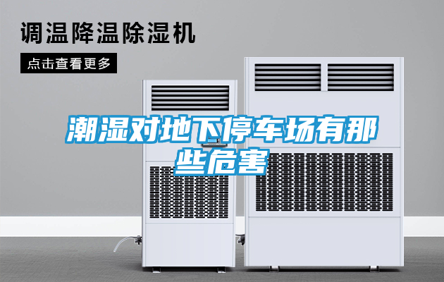 潮湿对地下停车场有那些危害