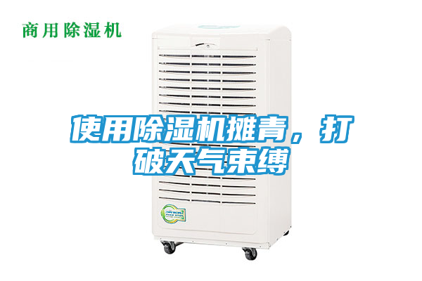 使用除湿机摊青，打破天气束缚