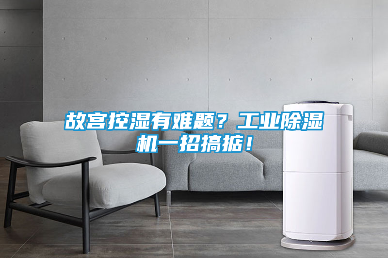 故宫控湿有难题？工业除湿机一招搞掂！