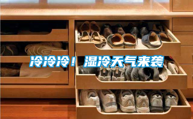 冷冷冷！湿冷天气来袭