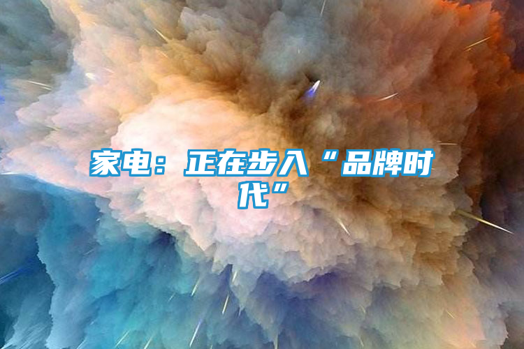 家电：正在步入“品牌时代”