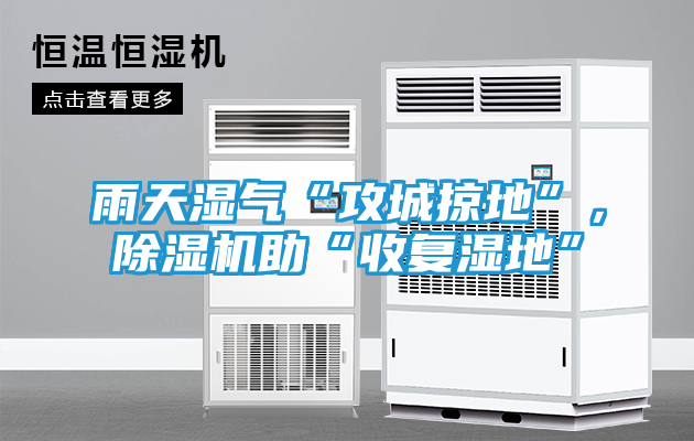 雨天湿气“攻城掠地”，除湿机助“收复湿地”