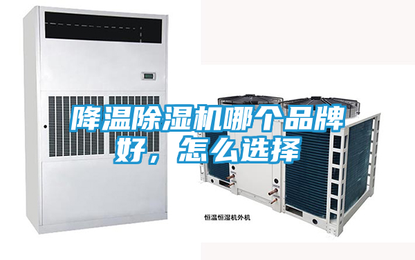 降温除湿机哪个品牌好，怎么选择