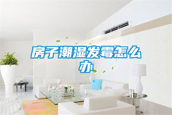 房子潮湿发霉怎么办
