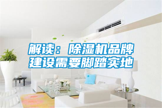 解读：除湿机品牌建设需要脚踏实地