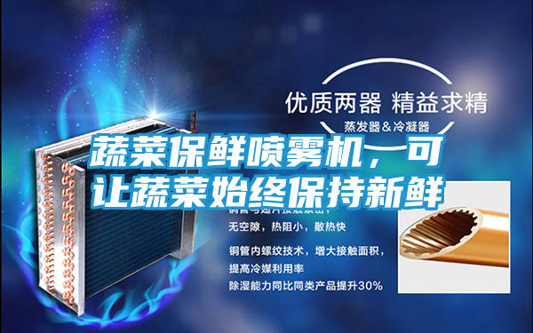 蔬菜保鲜喷雾机，可让蔬菜始终保持新鲜