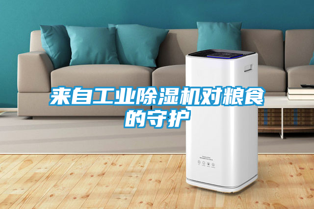 来自工业除湿机对粮食的守护