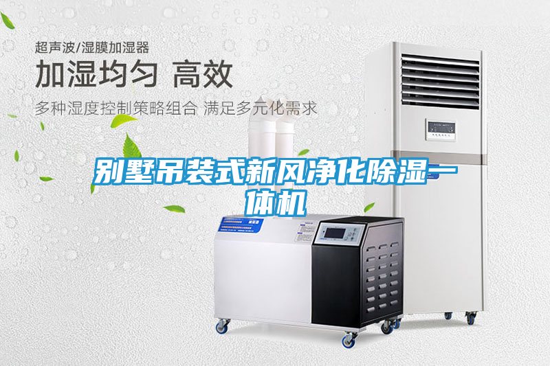 别墅吊装式新风净化除湿一体机