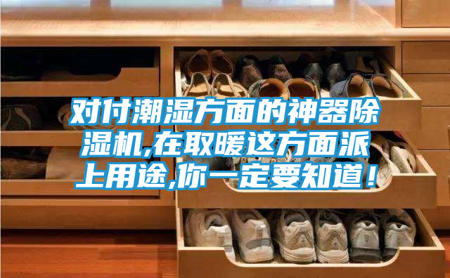 对付潮湿方面的神器除湿机,在取暖这方面派上用途,你一定要知道!
