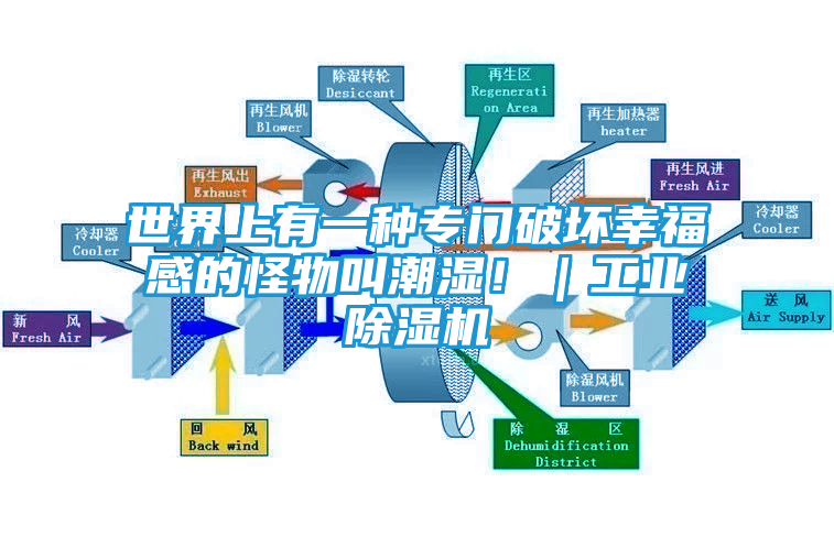 世界上有一种专门破坏幸福感的怪物叫潮湿！｜工业除湿机